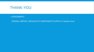 THANK-YOU
 ASSIGNMENT-
CRANIAL NERVES, ORIGIN,EXIT,COMPONENTS SUPPLY InTabular Form
 