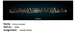 Name :- Amina munawar
Roll no. :- 15003
Assignment :- cranial nerves
 