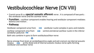 Vestibulocochlear Nerve (CN VIII)
• Cranial nerve 8 is a special somatic afferent nerve . It is composed of two parts :
the vestibular nerve and the cochlear nerve .
• Function :- cochlear component enables hearing and vestibular component mediates
balance and motion .
• Pathway
Vestibular component arise from vestibular nuclei complex in pons and medulla
cochlear component arise from ventral and dorsal cochlear nuclei in the inferior
cerebellar peduncle
Both sets combine in pons to form vestibulocochlear nerve
Nerve emerge from brain at cerebellopontine angle and exit cranium via internal acoustic
meatus at the distal end of internal acoustic meatus nerve splits forming
vestibular and cochlear nerve
 