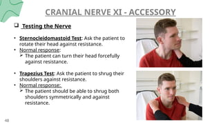 CRANIAL NERVES PPT - BY DR SHYAM PAREEK, 1ST MDS PERIO | PPTX