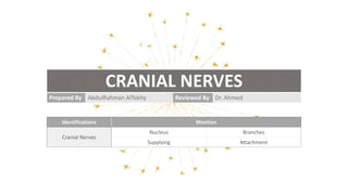 Identifications Mention
Cranial Nerves
Nucleus Branches
Supplying Attachment
Prepared By AbdulRahman AlTokhy Reviewed By Dr. Ahmed
CRANIAL NERVES
 