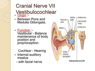 Cranial nerve vii vestibulocochlear and ix glossopharylgeal | PPTX