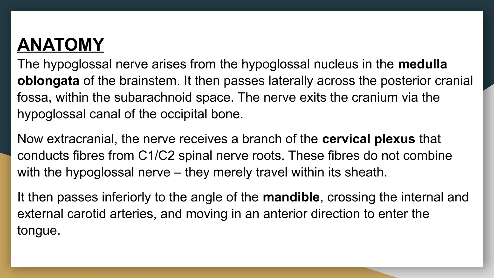 CRANIAL NERVE XII, a very brief but well informed take | PPTX