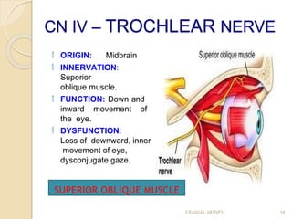 cranial nerve assesment for neurological condations.pptx