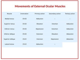 Intortion cranial 3rd 4th 6th names functions for eye | PPTX