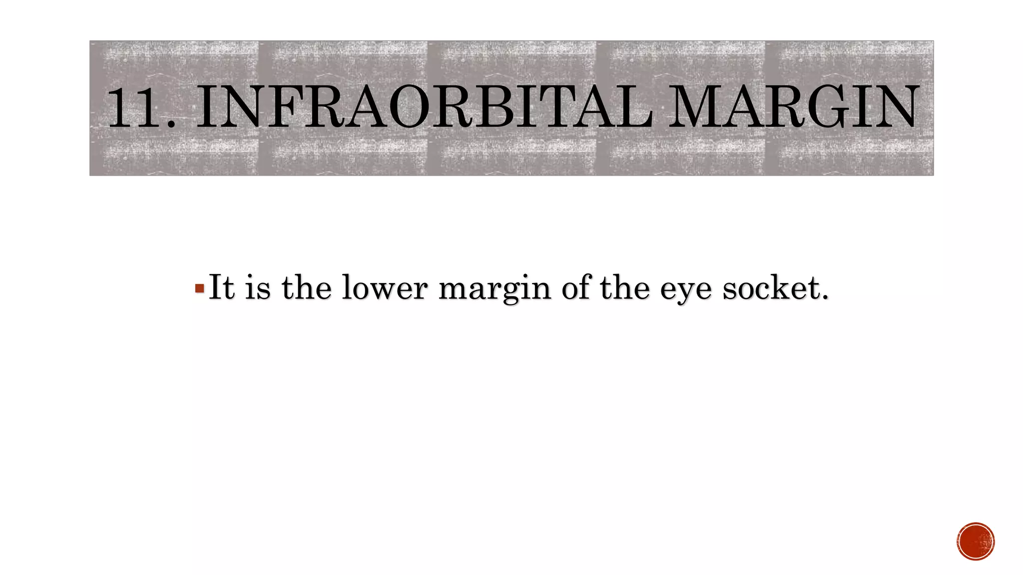 11. INFRAORBITAL MARGIN
It is the lower margin of the eye socket.
 