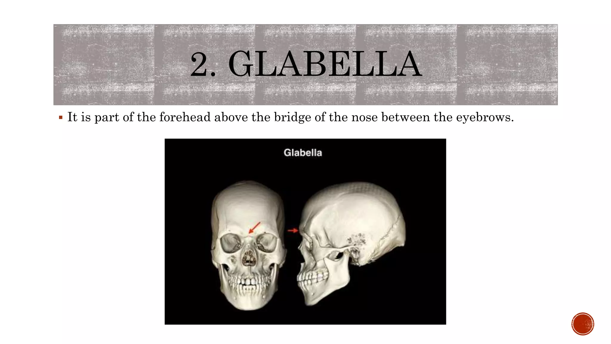 2. GLABELLA
 It is part of the forehead above the bridge of the nose between the eyebrows.
 