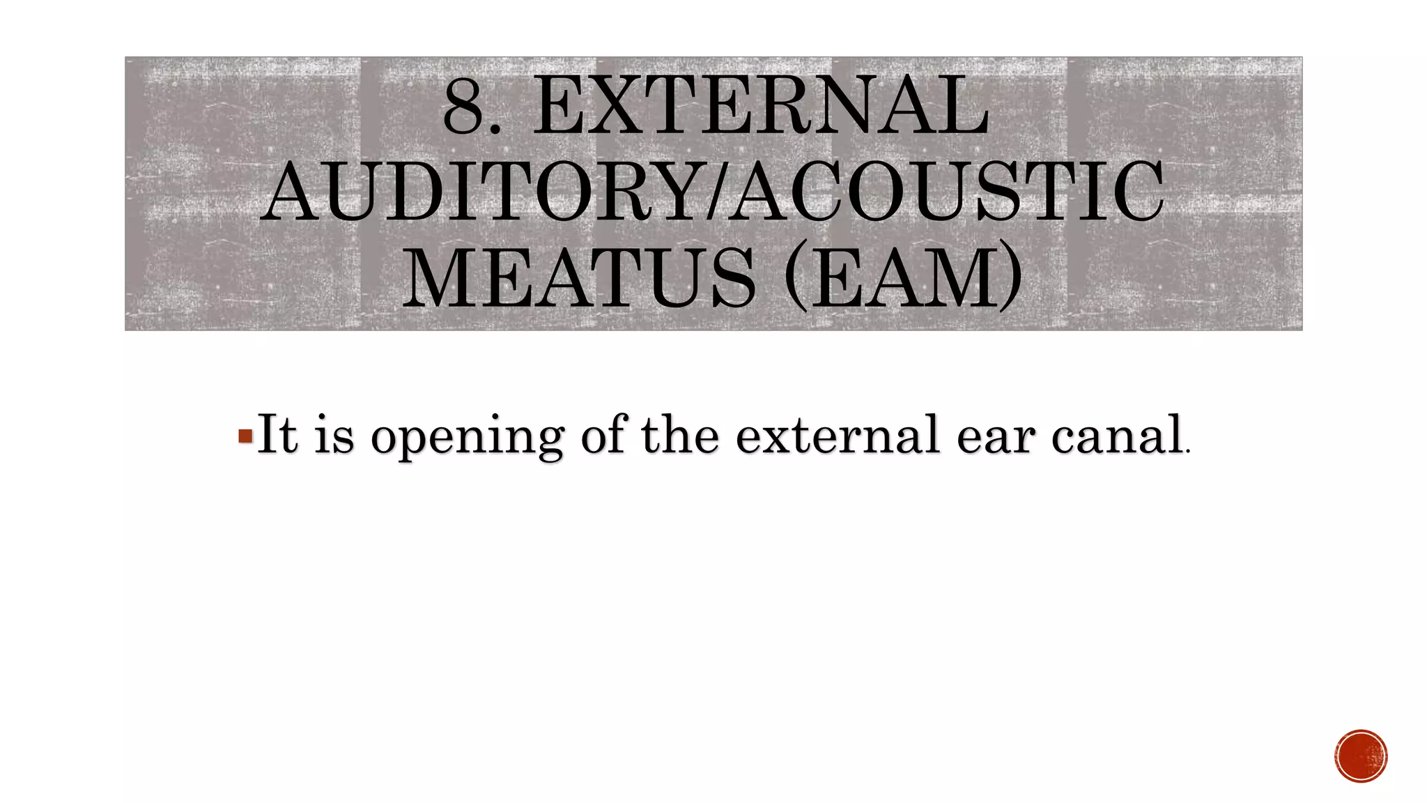 8. EXTERNAL
AUDITORY/ACOUSTIC
MEATUS (EAM)
It is opening of the external ear canal.
 