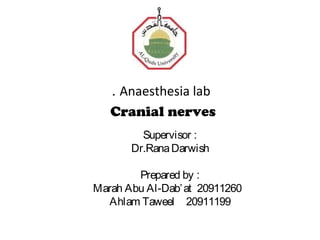 . Anaesthesia lab
   Cranial nerves
         Supervisor :
       Dr.Rana Darwish

        Prepared by :
Marah Abu Al-Dab’ at 20911260
  Ahlam Taweel 20911199
 