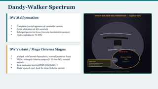 Torcular Inversion Comprehensive Neonatal Cranial Ultrasound Teaching Module for Radiology ...