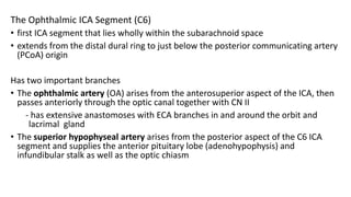 Cranial Vascular Anatomy.pptx