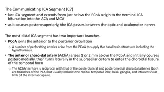 Cranial Vascular Anatomy.pptx