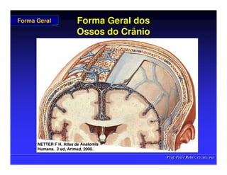 Prof. Peter Reher, CD, MSc, PhD
Prof. Peter Reher, CD, MSc, PhD
Forma Geral dos
Forma Geral dos
Ossos do Crânio
Ossos do Crânio
Forma Geral
Forma Geral
NETTER F H. Atlas de Anatomia
NETTER F H. Atlas de Anatomia
Humana.
Humana. 2 ed,
2 ed, Artmed
Artmed, 2000.
, 2000.
 