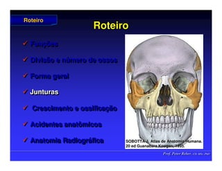 Prof. Peter Reher, CD, MSc, PhD
Prof. Peter Reher, CD, MSc, PhD
Roteiro
Roteiro
 Funções
 Divisão e número de ossos
 Forma geral
 Junturas
 Crescimento e ossificação
 Acidentes anatômicos
 Anatomia Radiográfica

 Fun
Funç
ções
ões

 Divisão e n
Divisão e nú
úmero de ossos
mero de ossos

 Forma geral
Forma geral

 Junturas
Junturas

 Crescimento e ossifica
Crescimento e ossificaç
ção
ão

 Acidentes anatômicos
Acidentes anatômicos

 Anatomia Radiogr
Anatomia Radiográ
áfica
fica
Roteiro
Roteiro
SOBOTTA J. Atlas de Anatomia Humana.
SOBOTTA J. Atlas de Anatomia Humana.
20 ed Guanabara
20 ed Guanabara Koogan
Koogan, 1995
, 1995.
.
 