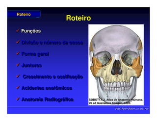Prof. Peter Reher, CD, MSc, PhD
Prof. Peter Reher, CD, MSc, PhD
Roteiro
Roteiro
 Funções
 Divisão e número de ossos
 Forma geral
 Junturas
 Crescimento e ossificação
 Acidentes anatômicos
 Anatomia Radiográfica

 Fun
Funç
ções
ões

 Divisão e n
Divisão e nú
úmero de ossos
mero de ossos

 Forma geral
Forma geral

 Junturas
Junturas

 Crescimento e ossifica
Crescimento e ossificaç
ção
ão

 Acidentes anatômicos
Acidentes anatômicos

 Anatomia Radiogr
Anatomia Radiográ
áfica
fica
Roteiro
Roteiro
SOBOTTA J. Atlas de Anatomia Humana.
SOBOTTA J. Atlas de Anatomia Humana.
20 ed Guanabara
20 ed Guanabara Koogan
Koogan, 1995
, 1995.
.
 