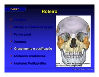 Prof. Peter Reher, CD, MSc, PhD
Prof. Peter Reher, CD, MSc, PhD
Roteiro
Roteiro
 Funções
 Divisão e número de ossos
 Forma geral
 Junturas
 Crescimento e ossificação
 Acidentes anatômicos
 Anatomia Radiográfica

 Fun
Funç
ções
ões

 Divisão e n
Divisão e nú
úmero de ossos
mero de ossos

 Forma geral
Forma geral

 Junturas
Junturas

 Crescimento e ossifica
Crescimento e ossificaç
ção
ão

 Acidentes anatômicos
Acidentes anatômicos

 Anatomia Radiogr
Anatomia Radiográ
áfica
fica
Roteiro
Roteiro
SOBOTTA J. Atlas de Anatomia Humana.
SOBOTTA J. Atlas de Anatomia Humana.
20 ed Guanabara
20 ed Guanabara Koogan
Koogan, 1995
, 1995.
.
 