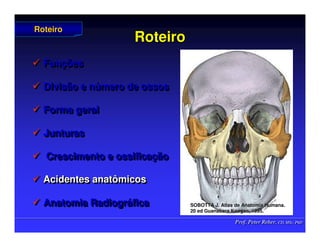 Prof. Peter Reher, CD, MSc, PhD
Prof. Peter Reher, CD, MSc, PhD
Roteiro
Roteiro
 Funções
 Divisão e número de ossos
 Forma geral
 Junturas
 Crescimento e ossificação
 Acidentes anatômicos
 Anatomia Radiográfica

 Fun
Funç
ções
ões

 Divisão e n
Divisão e nú
úmero de ossos
mero de ossos

 Forma geral
Forma geral

 Junturas
Junturas

 Crescimento e ossifica
Crescimento e ossificaç
ção
ão

 Acidentes anatômicos
Acidentes anatômicos

 Anatomia Radiogr
Anatomia Radiográ
áfica
fica
Roteiro
Roteiro
SOBOTTA J. Atlas de Anatomia Humana.
SOBOTTA J. Atlas de Anatomia Humana.
20 ed Guanabara
20 ed Guanabara Koogan
Koogan, 1995
, 1995.
.
 