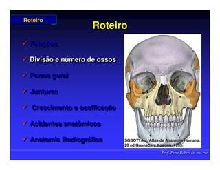 Prof. Peter Reher, CD, MSc, PhD
Prof. Peter Reher, CD, MSc, PhD
Roteiro
Roteiro
 Funções
 Divisão e número de ossos
 Forma geral
 Junturas
 Crescimento e ossificação
 Acidentes anatômicos
 Anatomia Radiográfica

 Fun
Funç
ções
ões

 Divisão e n
Divisão e nú
úmero de ossos
mero de ossos

 Forma geral
Forma geral

 Junturas
Junturas

 Crescimento e ossifica
Crescimento e ossificaç
ção
ão

 Acidentes anatômicos
Acidentes anatômicos

 Anatomia Radiogr
Anatomia Radiográ
áfica
fica
Roteiro
Roteiro
SOBOTTA J. Atlas de Anatomia Humana.
SOBOTTA J. Atlas de Anatomia Humana.
20 ed Guanabara
20 ed Guanabara Koogan
Koogan, 1995
, 1995.
.
 