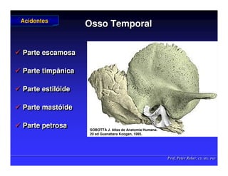 Prof. Peter Reher, CD, MSc, PhD
Prof. Peter Reher, CD, MSc, PhD
Osso Temporal
Osso Temporal
 Parte escamosa
 Parte timpânica
 Parte estilóide
 Parte mastóide
 Parte petrosa
 Parte escamosa
 Parte timpânica
 Parte estilóide
 Parte mastóide
 Parte petrosa
Acidentes
Acidentes
SOBOTTA J. Atlas de Anatomia Humana.
SOBOTTA J. Atlas de Anatomia Humana.
20 ed Guanabara
20 ed Guanabara Koogan
Koogan, 1995
, 1995.
.
 