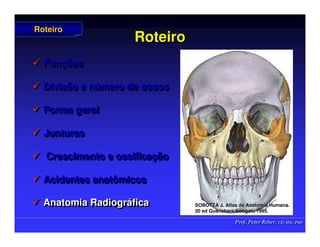 Prof. Peter Reher, CD, MSc, PhD
Prof. Peter Reher, CD, MSc, PhD
Roteiro
Roteiro
 Funções
 Divisão e número de ossos
 Forma geral
 Junturas
 Crescimento e ossificação
 Acidentes anatômicos
 Anatomia Radiográfica

 Fun
Funç
ções
ões

 Divisão e n
Divisão e nú
úmero de ossos
mero de ossos

 Forma geral
Forma geral

 Junturas
Junturas

 Crescimento e ossifica
Crescimento e ossificaç
ção
ão

 Acidentes anatômicos
Acidentes anatômicos

 Anatomia Radiogr
Anatomia Radiográ
áfica
fica
Roteiro
Roteiro
SOBOTTA J. Atlas de Anatomia Humana.
SOBOTTA J. Atlas de Anatomia Humana.
20 ed Guanabara
20 ed Guanabara Koogan
Koogan, 1995
, 1995.
.
 