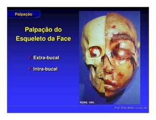 Prof. Peter Reher, CD, MSc, PhD
Prof. Peter Reher, CD, MSc, PhD
Palpa
Palpaç
ção do
ão do
Esqueleto da Face
Esqueleto da Face
 Extra-bucal
 Intra-bucal

 Extra
Extra-
-bucal
bucal

 Intra
Intra-
-bucal
bucal
Palpa
Palpaç
ção
ão
ROWE, 1985.
ROWE, 1985.
 