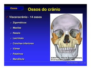 Prof. Peter Reher, CD, MSc, PhD
Prof. Peter Reher, CD, MSc, PhD
Ossos do crânio
Ossos do crânio
 Viscerocrânio - 14 ossos
 Zigomáticos
 Maxilas
 Nasais
 Lacrimais
 Conchas inferiores
 Vômer
 Palatinos
 Mandíbula

 Viscerocrânio
Viscerocrânio -
- 14 ossos
14 ossos

 Zigom
Zigomá
áticos
ticos

 Maxilas
Maxilas

 Nasais
Nasais

 Lacrimais
Lacrimais

 Conchas inferiores
Conchas inferiores

 Vômer
Vômer

 Palatinos
Palatinos

 Mand
Mandí
íbula
bula
Ossos
Ossos
SOBOTTA J. Atlas de Anatomia Humana.
SOBOTTA J. Atlas de Anatomia Humana.
20 ed Guanabara
20 ed Guanabara Koogan
Koogan, 1995
, 1995.
.
 