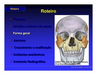 Prof. Peter Reher, CD, MSc, PhD
Prof. Peter Reher, CD, MSc, PhD
Roteiro
Roteiro
 Funções
 Divisão e número de ossos
 Forma geral
 Junturas
 Crescimento e ossificação
 Acidentes anatômicos
 Anatomia Radiográfica

 Fun
Funç
ções
ões

 Divisão e n
Divisão e nú
úmero de ossos
mero de ossos

 Forma geral
Forma geral

 Junturas
Junturas

 Crescimento e ossifica
Crescimento e ossificaç
ção
ão

 Acidentes anatômicos
Acidentes anatômicos

 Anatomia Radiogr
Anatomia Radiográ
áfica
fica
Roteiro
Roteiro
SOBOTTA J. Atlas de Anatomia Humana.
SOBOTTA J. Atlas de Anatomia Humana.
20 ed Guanabara
20 ed Guanabara Koogan
Koogan, 1995
, 1995.
.
 