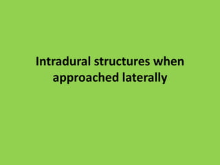 To gain intradural access, the artery bends again anteromedially
to pierce the dura posteromedial to the occipital condyle. At this point, the
dura is firmly attached to the artery
 