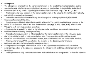 Changing the tilt of the microscope, the two vertebral arteries
and the vertebrobasilar junction (VBJ) are exposed. Note the control
of the ventrolateral surface of the medulla (Med). VA, vertebral artery;
VAc, contralateral vertebral artery.
 