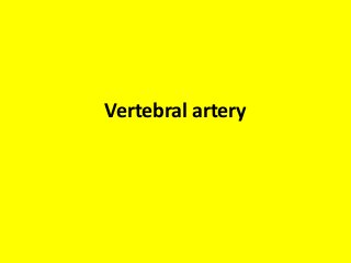 Vertebral artery
 