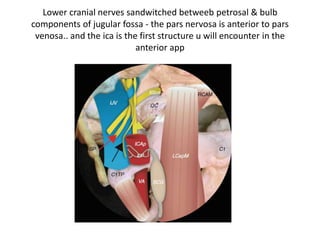 Lower clivus + petrous apex in anterior skull base
1. observe the petrous apex in both views
2. hypoglossal canal medial to parapharyngeal carotid & jugular fossa
 