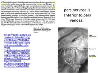 Behind the RCLM vertebral artery
present
 