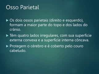 Osso Parietal
 Os dois ossos parietais (direito e esquerdo),
formam a maior parte do topo e dos lados do
crânio.
 Têm quatro lados irregulares, com sua superfície
externa convexa e a superfície interna côncava.
 Protegem o cérebro e é coberto pelo couro
cabeludo.
 