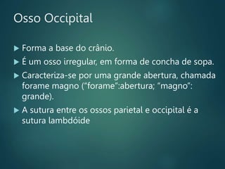 Osso Occipital
 Forma a base do crânio.
 É um osso irregular, em forma de concha de sopa.
 Caracteriza-se por uma grande abertura, chamada
forame magno (“forame”:abertura; “magno”:
grande).
 A sutura entre os ossos parietal e occipital é a
sutura lambdóide
 