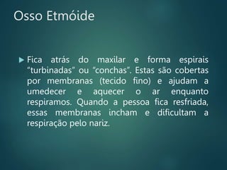  Fica atrás do maxilar e forma espirais
“turbinadas” ou “conchas”. Estas são cobertas
por membranas (tecido fino) e ajudam a
umedecer e aquecer o ar enquanto
respiramos. Quando a pessoa fica resfriada,
essas membranas incham e dificultam a
respiração pelo nariz.
Osso Etmóide
 