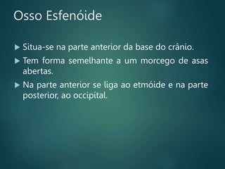 Osso Esfenóide
 Situa-se na parte anterior da base do crânio.
 Tem forma semelhante a um morcego de asas
abertas.
 Na parte anterior se liga ao etmóide e na parte
posterior, ao occipital.
 