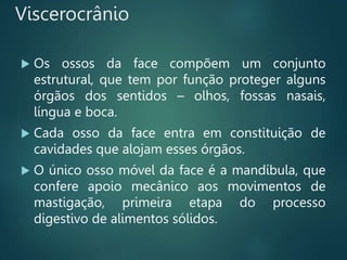  Os ossos da face compõem um conjunto
estrutural, que tem por função proteger alguns
órgãos dos sentidos – olhos, fossas nasais,
língua e boca.
 Cada osso da face entra em constituição de
cavidades que alojam esses órgãos.
 O único osso móvel da face é a mandíbula, que
confere apoio mecânico aos movimentos de
mastigação, primeira etapa do processo
digestivo de alimentos sólidos.
Viscerocrânio
 