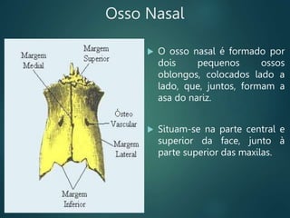 Osso Nasal
 O osso nasal é formado por
dois pequenos ossos
oblongos, colocados lado a
lado, que, juntos, formam a
asa do nariz.
 Situam-se na parte central e
superior da face, junto à
parte superior das maxilas.
 