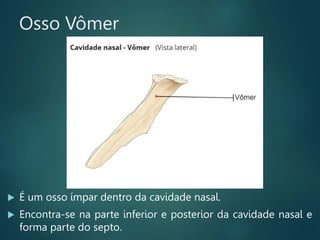 Osso Vômer
 É um osso ímpar dentro da cavidade nasal.
 Encontra-se na parte inferior e posterior da cavidade nasal e
forma parte do septo.
 
