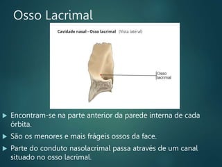 Osso Lacrimal
 Encontram-se na parte anterior da parede interna de cada
órbita.
 São os menores e mais frágeis ossos da face.
 Parte do conduto nasolacrimal passa através de um canal
situado no osso lacrimal.
 