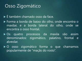 Osso Zigomático
 É também chamado osso da face.
 Forma a borda de baixo do olho, onde encontra o
maxilar, e a borda lateral do olho, onde se
encontra o osso frontal.
 Os quatro processos da maxila são assim
denominados: zigomático, palatino, frontal e
alveolar.
 O osso zigomático forma o que chamamos
popularmente de “maçãs do rosto”.
 