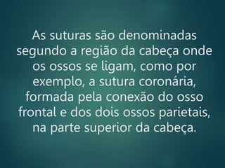 As suturas são denominadas
segundo a região da cabeça onde
os ossos se ligam, como por
exemplo, a sutura coronária,
formada pela conexão do osso
frontal e dos dois ossos parietais,
na parte superior da cabeça.
 