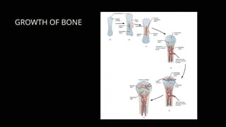 CRANIOFACIAL DEVELOPMENT OF SKULL AND CRANIUM.pptx