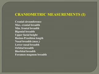 CRANIOMETRIC MEASUREMENTS (I)
Cranial circumference
Max. cranial breadth
Min. frontal breadth
Bigonial breadth
Upper facial height
Basion-Prosthion length
Nasal breadth (max.)
Lower nasal breadth
Orbital breadth
Biorbital breadth
Foramen magnum breadth
 