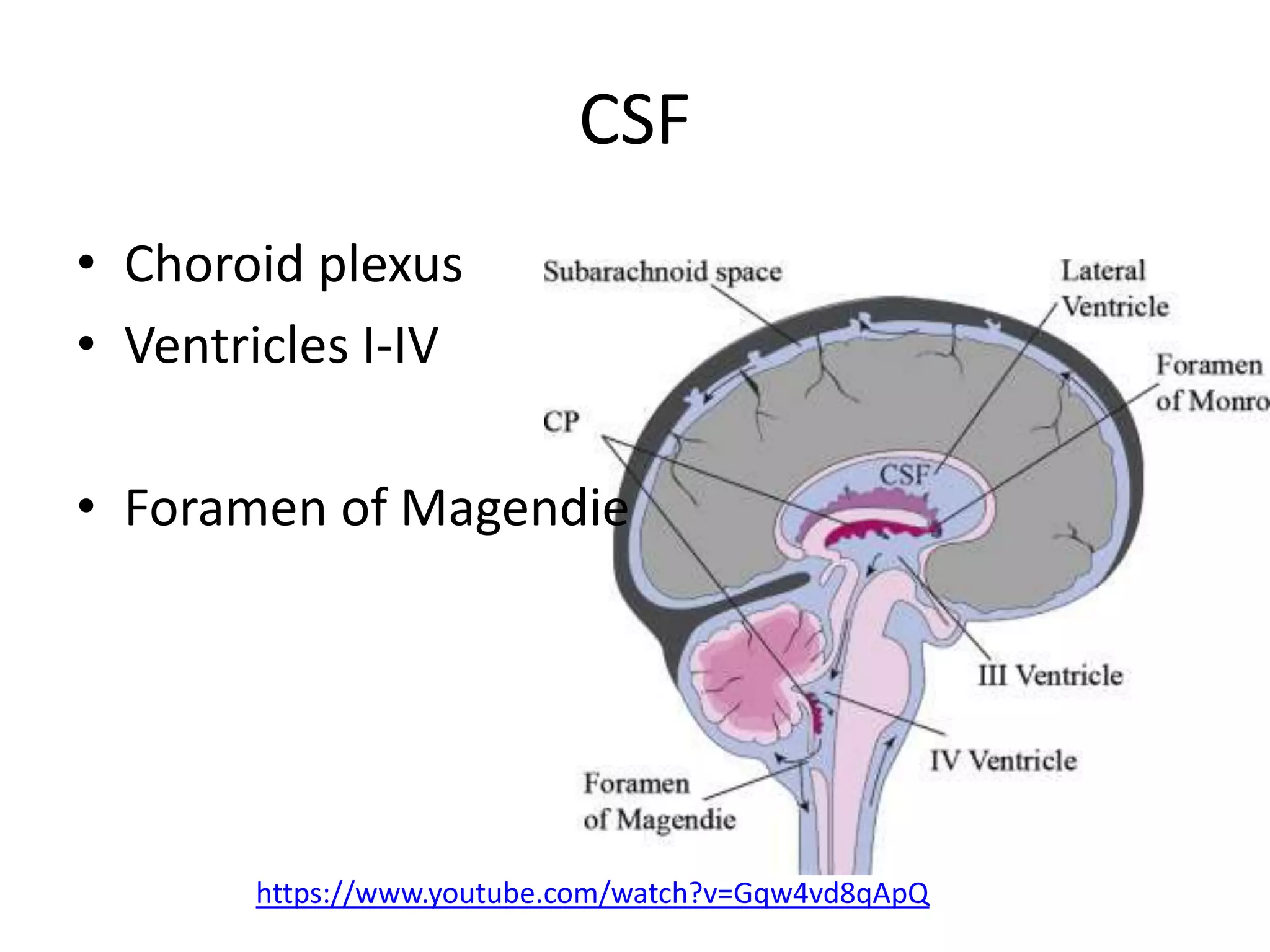 Craniosacral osteopathy | PPTX