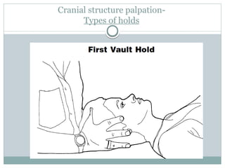 Cranial structure palpation-
Types of holds
 