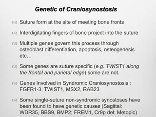 Genetic of Craniosynostosis
 Suture form at the site of meeting bone fronts
 Interdigitating fingers of bone project into the suture
 Multiple genes govern this process through
osteoblast differentiation, apoptosis, osteogenesis
etc…
 Some genes are suture specific (e.g. TWIST1 along
the frontal and parietal edge) some are not.
 Genes Involved in Syndromic Craniosynostosis :
FGFR1-3, TWIST1, MSX2, RAB23
 Some single-suture non-syndromic synostoses have
been found to have genetic causes (Sagittal:
WDR35, BBS9, BMP2; FREM1, Cr9p del: Metopic)
 