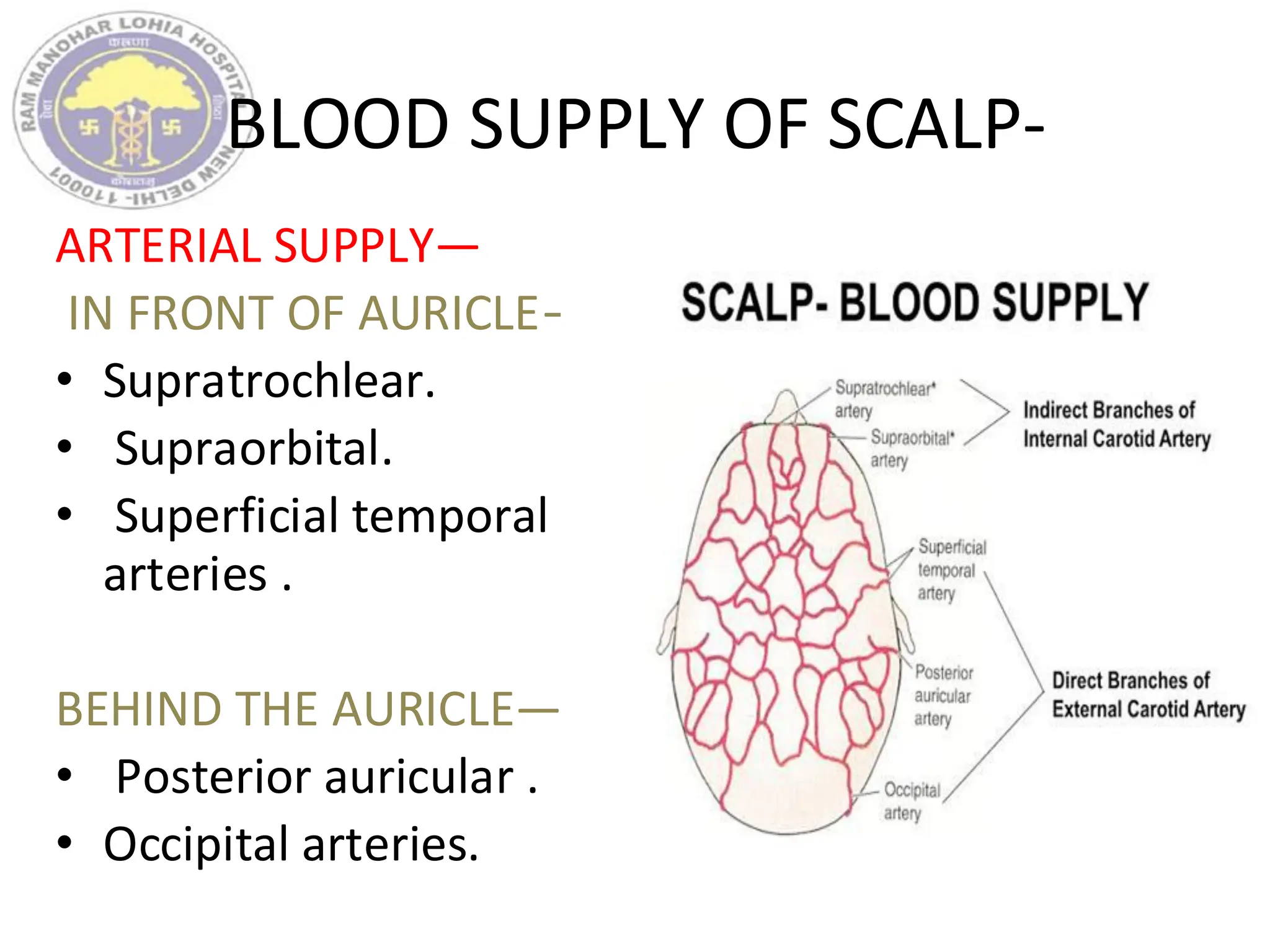 BLOOD SUPPLY OF SCALP-
ARTERIAL SUPPLY—
IN FRONT OF AURICLE—
• Supratrochlear.
• Supraorbital.
• Superficial temporal
arteries .
BEHIND THE AURICLE—
• Posterior auricular .
• Occipital arteries.
 