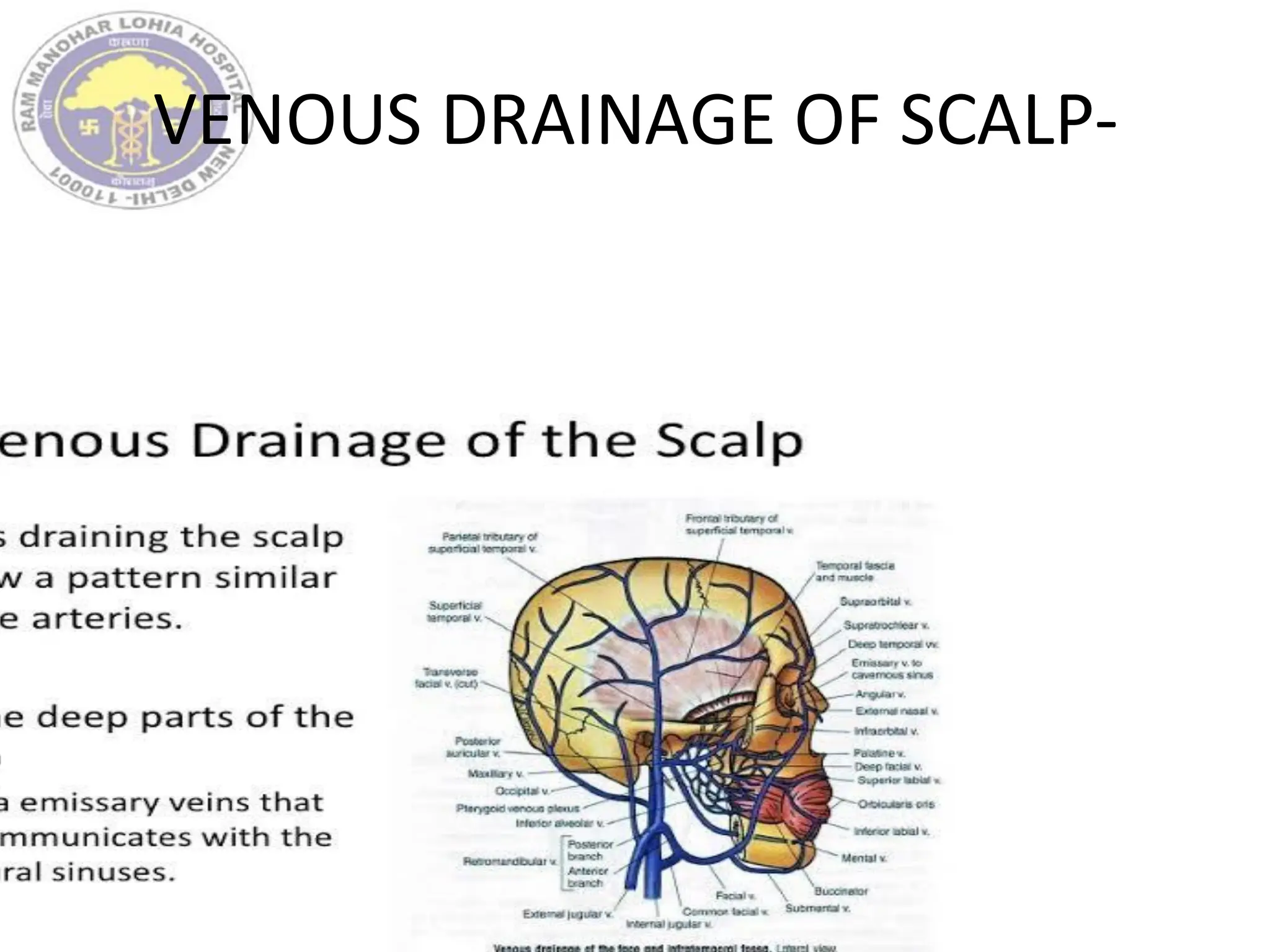 VENOUS DRAINAGE OF SCALP-
 
