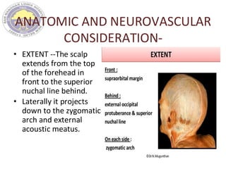ANATOMIC AND NEUROVASCULAR
CONSIDERATION-
• EXTENT --The scalp
extends from the top
of the forehead in
front to the superior
nuchal line behind.
• Laterally it projects
down to the zygomatic
arch and external
acoustic meatus.
 